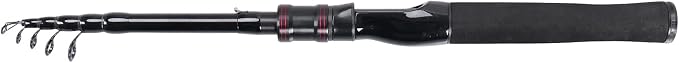Telescopic Fishing Rod, Collapsible Fishing Rod Portable Spinning Pole - Image 2