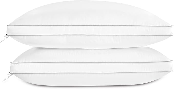 Globon Luxury Feather Down Pillow Standard Queen Size by Globon