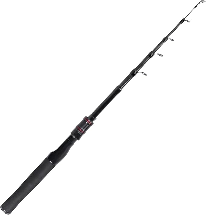 Telescopic Fishing Rod, Collapsible Fishing Rod Portable Spinning Pole - Image 6