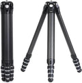 Falcam TreeRoot F38 Pro Carbon Fiber Tripod, 5kg Load, F22 Interfaces, 1/4" by Kongeeker