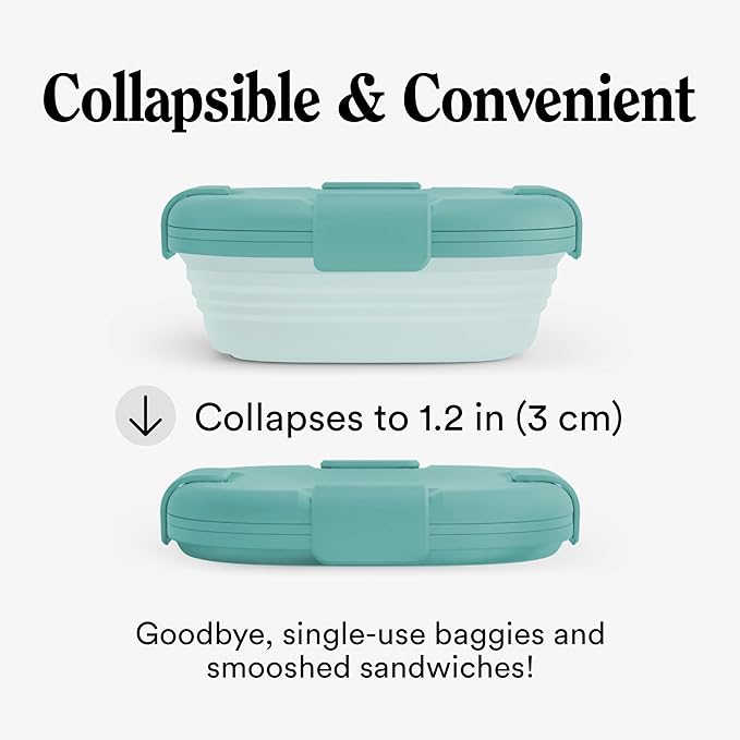 STOJO Collapsible Sandwich Box – 24oz, Reusable Food Storage Container - Image 2