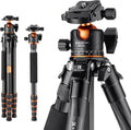 K&F Concept 62" Carbon Fiber Camera Tripod, Portable Compact Tripods by KFCONCEPT