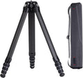 FALCAM TreeRoot Carbon Fiber Medium Tripod, 4-Section Legs, 50kg Vertical Load by Kongeeker