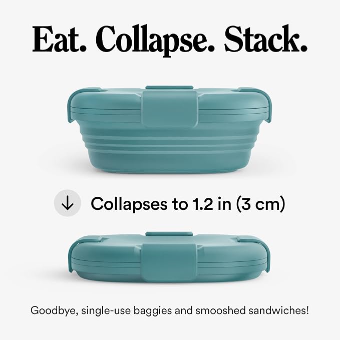 STOJO Collapsible Sandwich Box – 24oz, Reusable Food Storage Container - Image 2