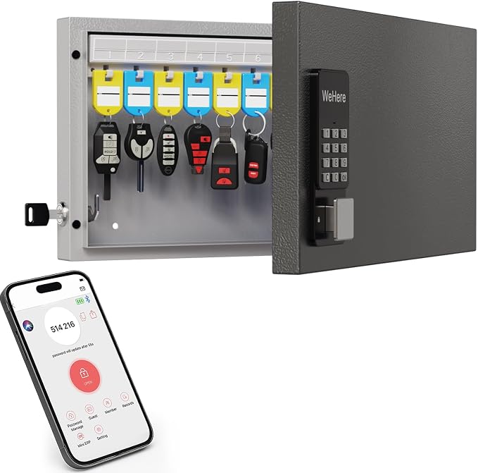 24 Key Lock Box Wall Mount, Smart Key Cabinet, use One Time Password, Fixed Code by DiDiHere