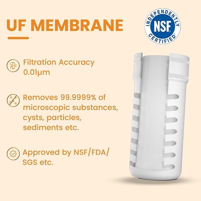 Water Filter Bottle Survival - Image 2