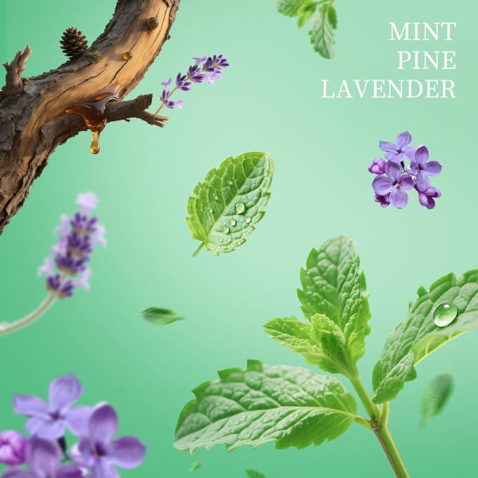 Power Mist Hand Sanitizer Spray, Scented Hydrating Hand Sanitizers Travel Size - Image 2