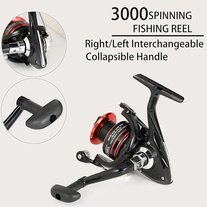 2PACK Fishing Pole Combo, Fishing Rod Combos - Image 3