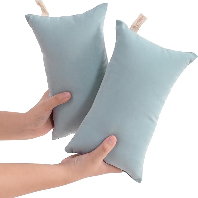 NTBAY Tiny Pillows, Down Alternative 7"x11" Microfiber Mini Pillows by NTBAY