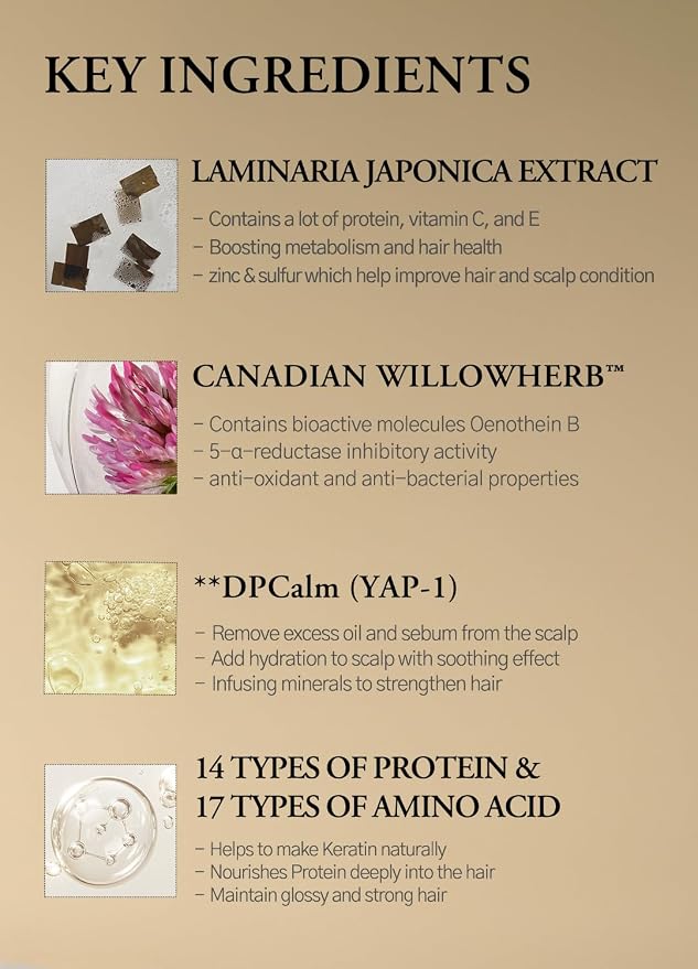 laferme Laminaria Shampoo with Organic Ingredient, Korean Clarifying Shampoo - Image 5