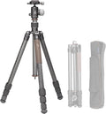 Compact Carbon Fiber Travel Camera Tripod by Leofoto