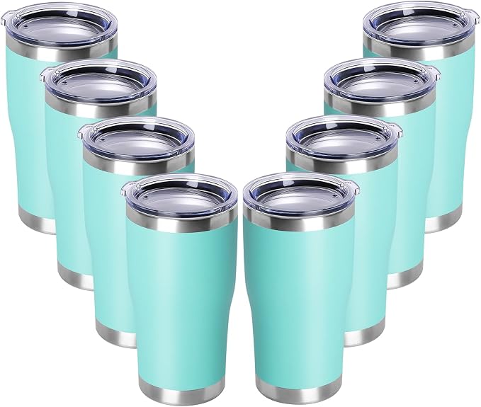 DOMICARE 20oz Tumbler with Lid Stainless Steel Tumblers Bulk, Double Wall by VisittheDOMICARE