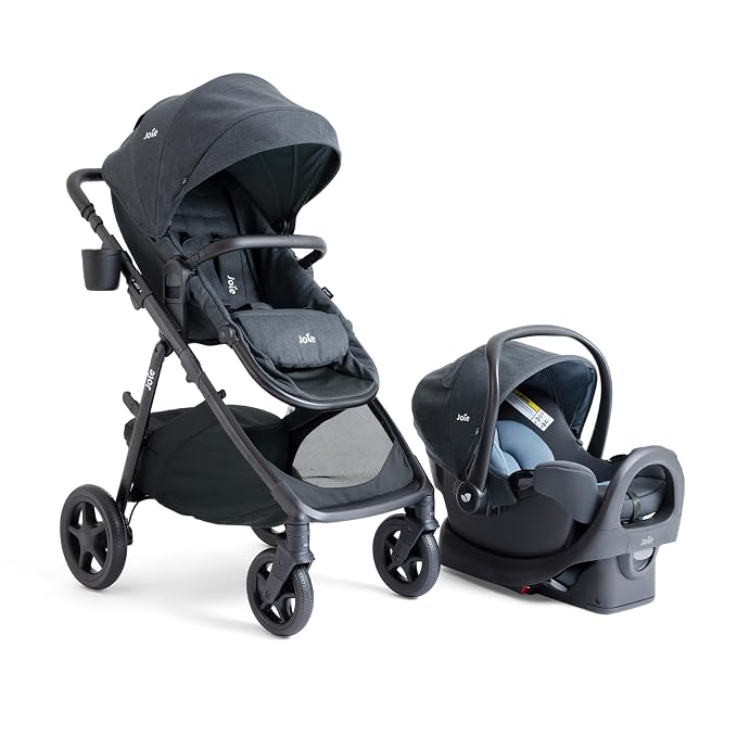 Ginger and Rue Travel System by Joie