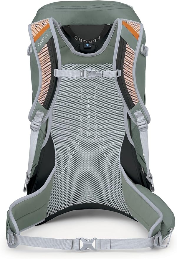 Osprey Hikelite Backpack, Pine Leaf Green, Small/Medium - Image 4