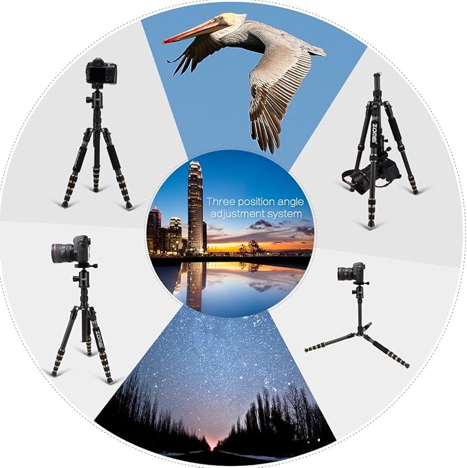 ZOMEI Z669C Carbon Fiber Portable Tripod - Image 3