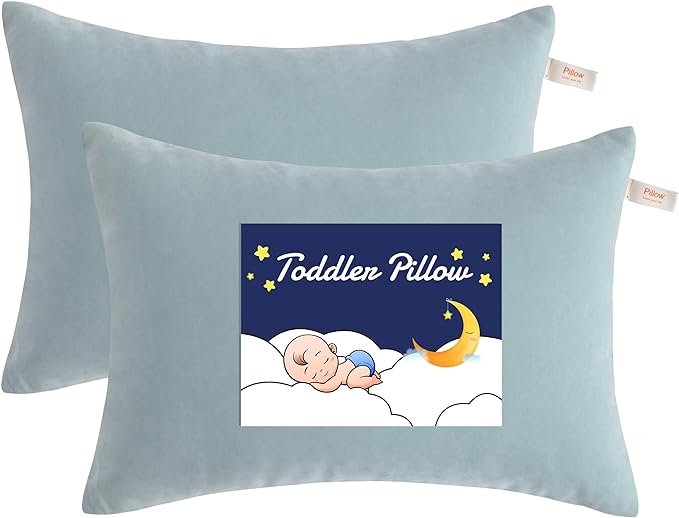 NTBAY Toddler Pillows, Down Alternative 13"x18" Pillows, Machine Washable by NTBAY
