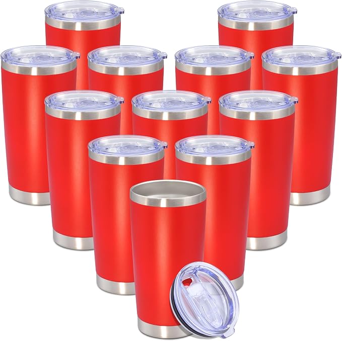 20 oz Tumbler with lid Double Wall Vacuum Insulated Tumblers Stainless Steel by Providethebestproducts