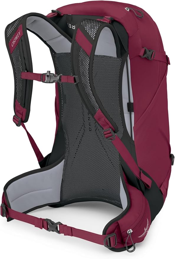 Osprey Hikelite 28L Unisex Hiking Backpack, Chameleon/Black - Image 8
