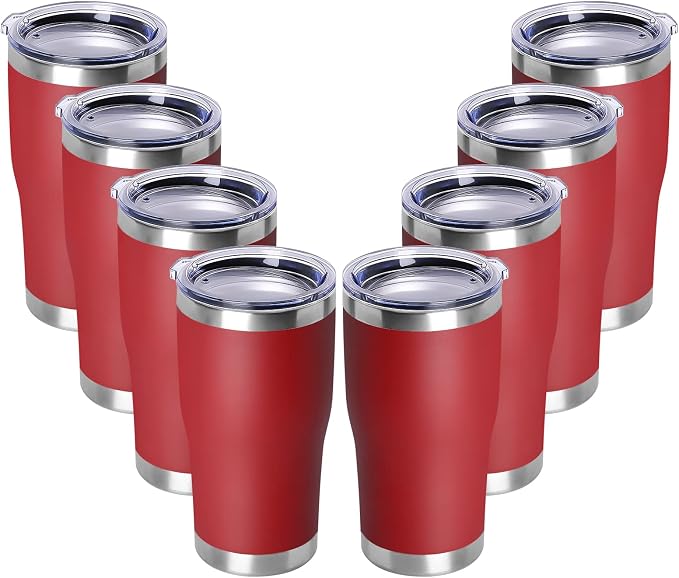 DOMICARE 20oz Tumbler with Lid Stainless Steel Tumblers Bulk, Double Wall by VisittheDOMICARE