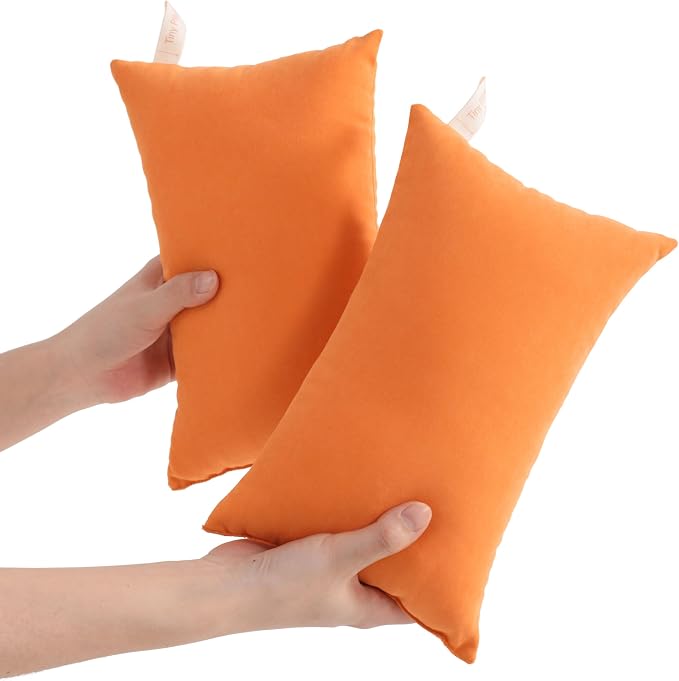 NTBAY Tiny Pillows, Down Alternative 7"x11" Microfiber Mini Pillows by NTBAY