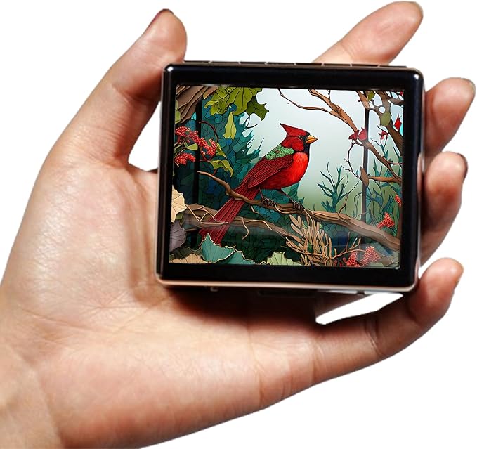 Silver Vintage Pill Box 7 Day Metal Pill Box - Image 2