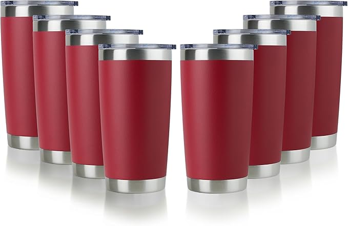 DOMICARE 20oz Stainless Steel Tumbler Bulk by VisittheDOMICARE