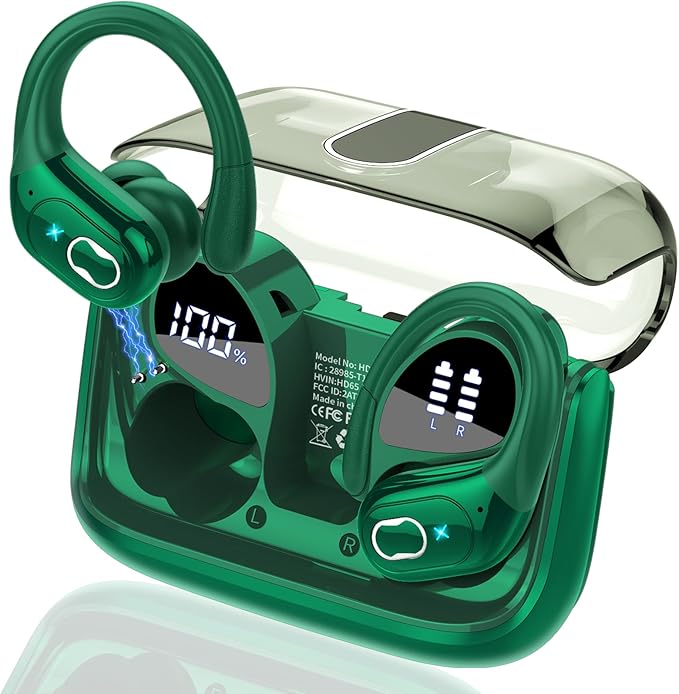 AI Translation Earbuds Real Time, 164 Language Translator Earbud 3-in-1 by Unknown