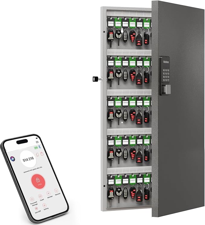 120 Key Lock Box, Metal Key Cabinet Organizer Wall Mount use OTP Technology by DiDiHere