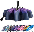 LANBRELLA Compact Reverse Folding Umbrella Auto Windproof Travel Umbrella by LANBRELLA