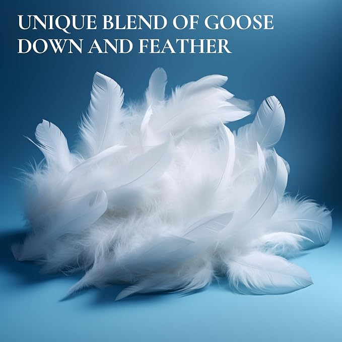 Royal Therapy King White Goose Feathers and Down Pillow, Premium White Bed - Image 2