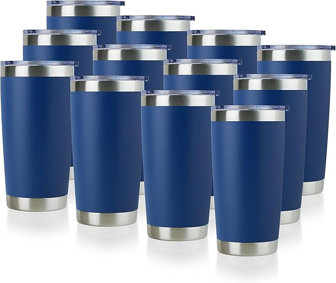 DOMICARE 20oz Stainless Steel Tumbler Bulk by VisittheDOMICARE