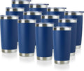 DOMICARE 20oz Stainless Steel Tumbler Bulk by VisittheDOMICARE