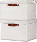 Temary Storage Bins with Lids 2-Pack Large Foldable Storage Baskets with Lid by TEMARY