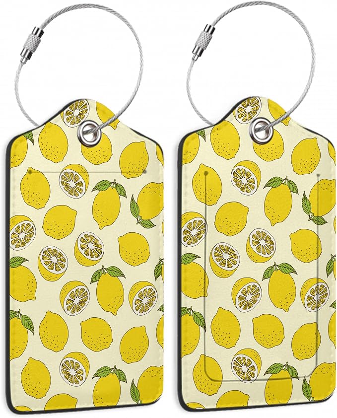 2 Pack Luggage Tag for Suitcase by TXIANT