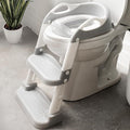 Jool Baby Potty Training Seat by JoolBaby
