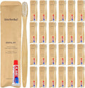 Bamboo Toothbrushes Kit Bulk, Disposable Toothbrushes by DincherBel