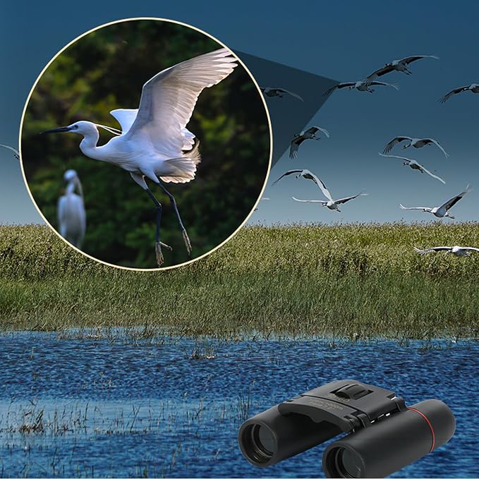 Binoculars for Adults, Compact Small Pocket Mini Travel Binocular for Bird - Image 8