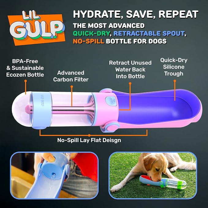 Lil Gulp Water Bottle | Advanced Carbon Filtration - Image 2