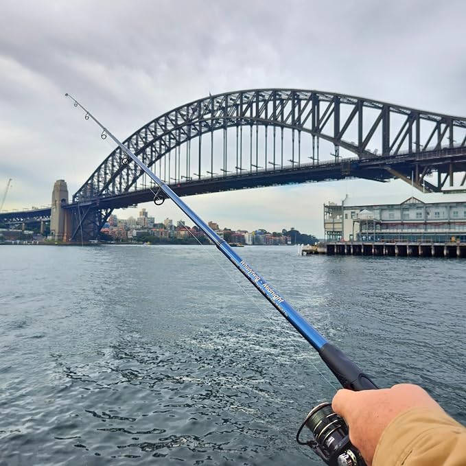 Whistytwig Telescopic Fishing Rod - Image 8