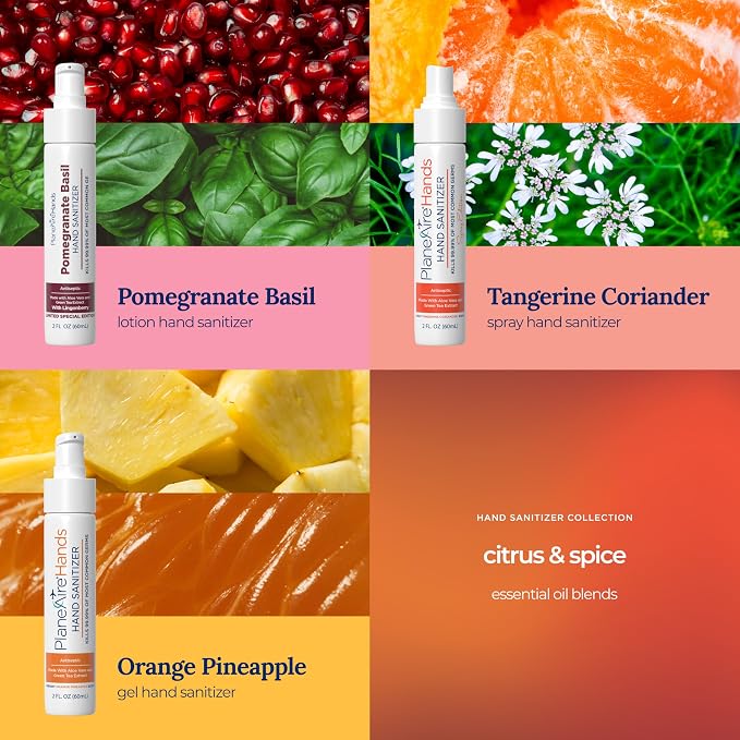 Citrus & Spice Variety 3pk Hand Sanitizer | Orange Pineapple Gel, Pomegranate - Image 2