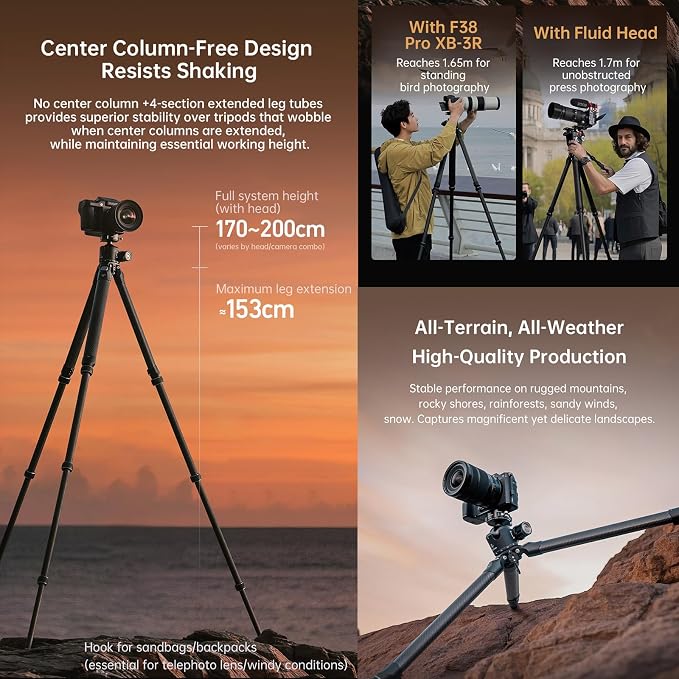 FALCAM TreeRoot Carbon Fiber Medium Tripod, 4-Section Legs, 50kg Vertical Load - Image 6