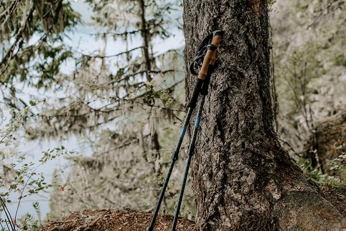 Cascade Mountain Tech Trekking Poles - Image 9