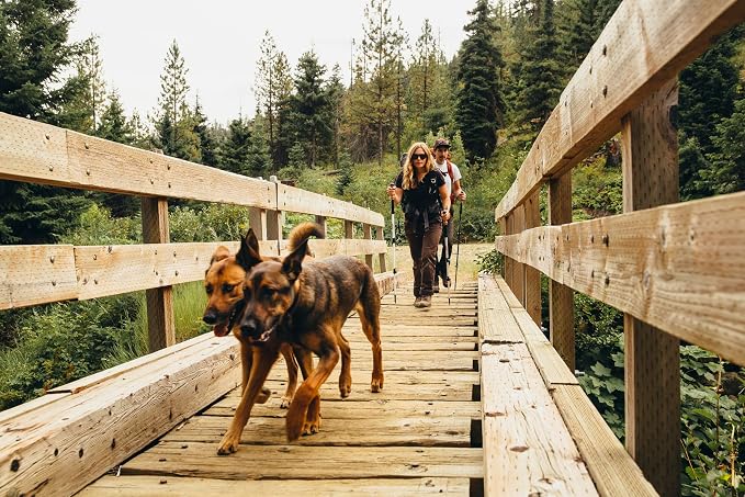 Cascade Mountain Tech Trekking Poles - Image 8