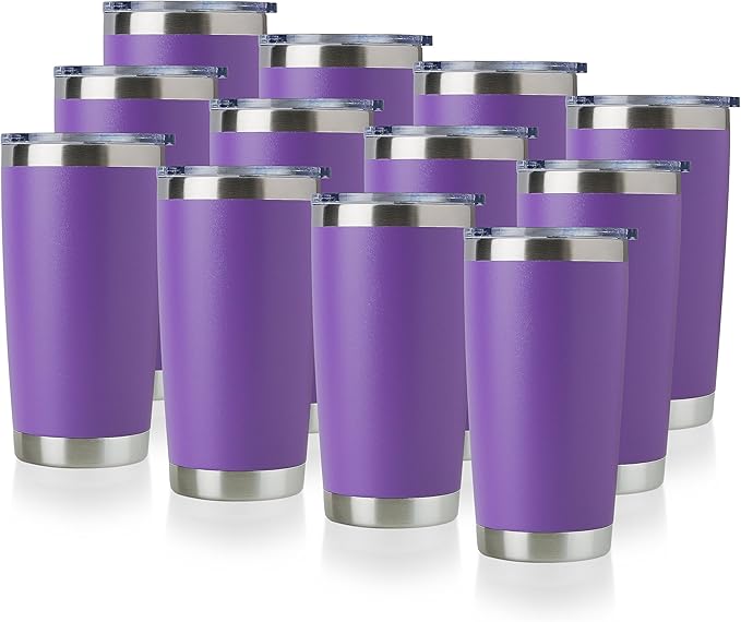 DOMICARE 20oz Stainless Steel Tumbler Bulk by VisittheDOMICARE