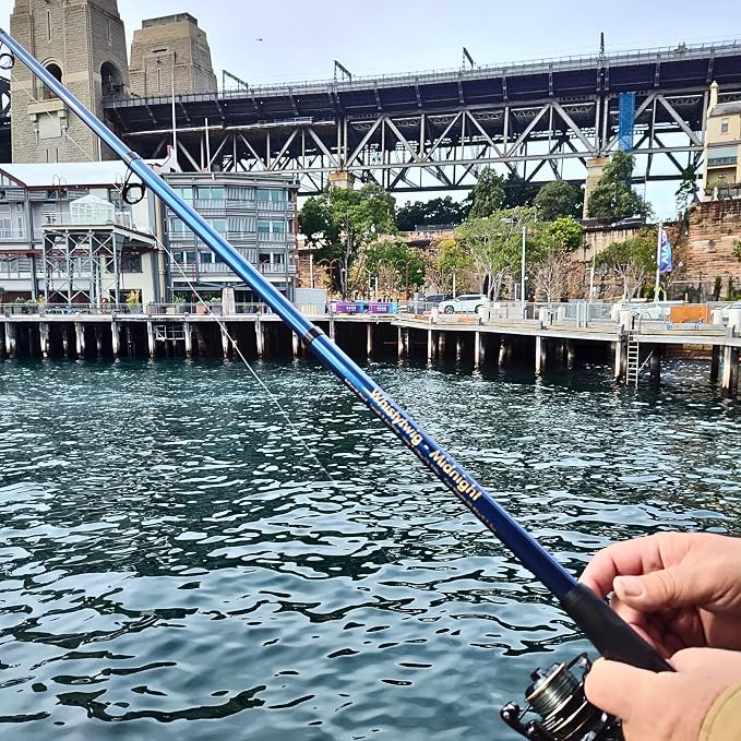 Whistytwig Telescopic Fishing Rod - Image 7